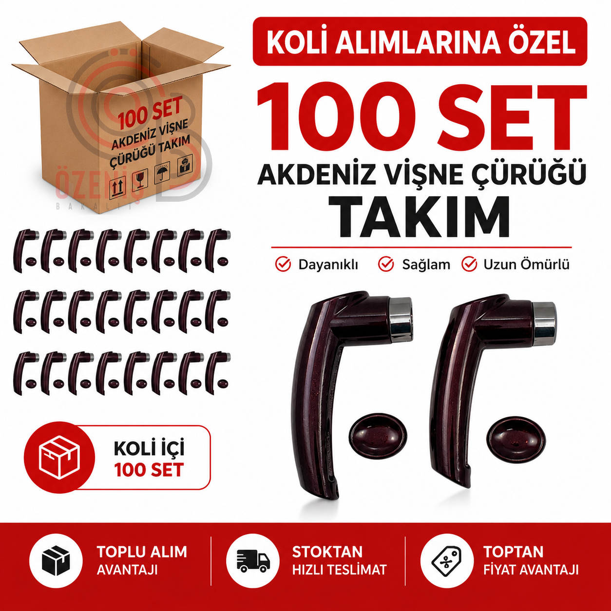 Akdeniz Vişne Çürüğü Takım 100 Set Seti 40 TL