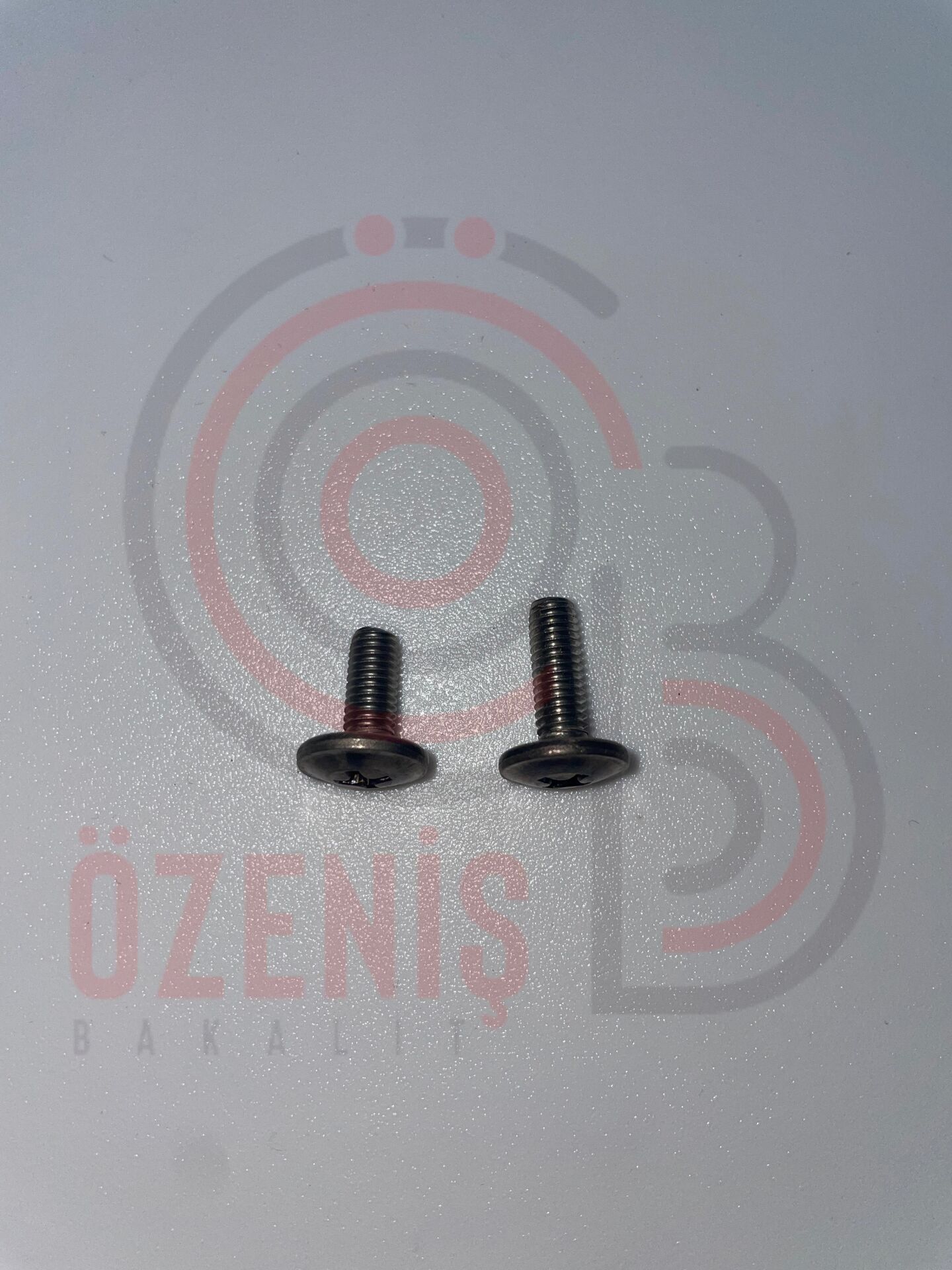 Paslanmaz Çelik Vida